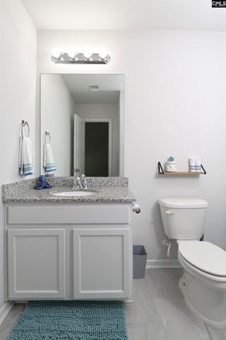 932 Trident Maple Lane, Chapin, SC 29036