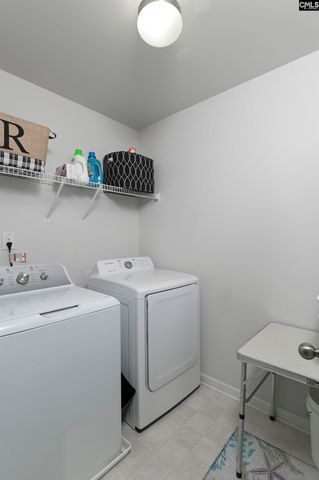 932 Trident Maple Lane, Chapin, SC 29036