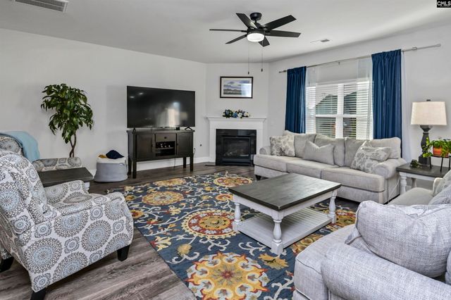 932 Trident Maple Lane, Chapin, SC 29036