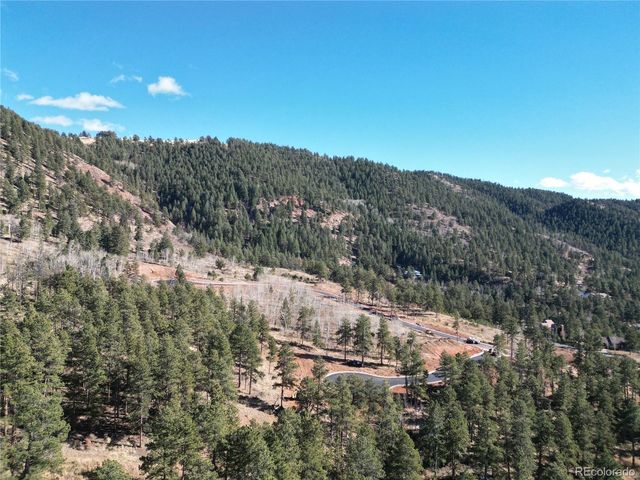 14 Blue Haven Pl, Woodland Park, CO 80863