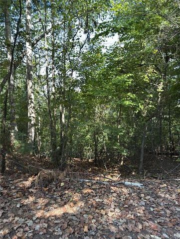 946 Aurora Lane, Ranger, GA 30734