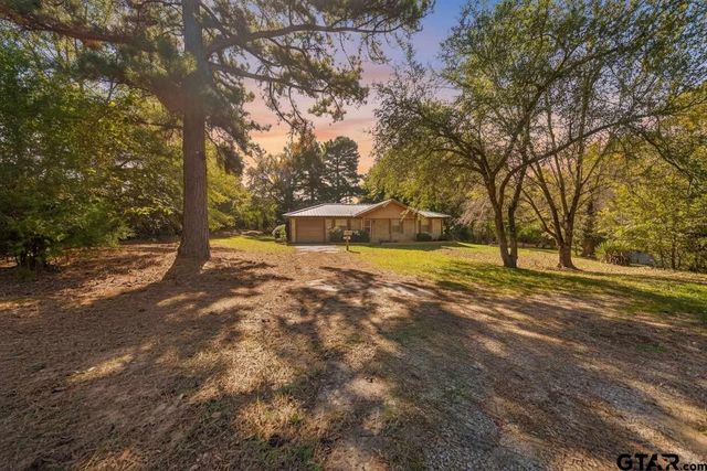 17036 & 17092 FM 317, Chandler, TX 75758