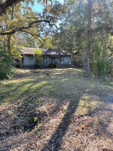 17036 & 17092 FM 317, Chandler, TX 75758