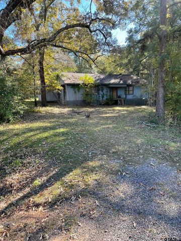 17036 & 17092 FM 317, Chandler, TX 75758