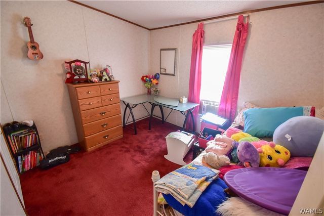 18157 Barefoot Springer Road, Gordo, AL 35466