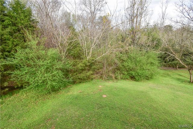 18157 Barefoot Springer Road, Gordo, AL 35466