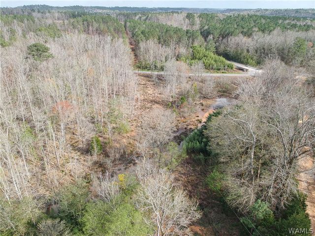 18157 Barefoot Springer Road, Gordo, AL 35466