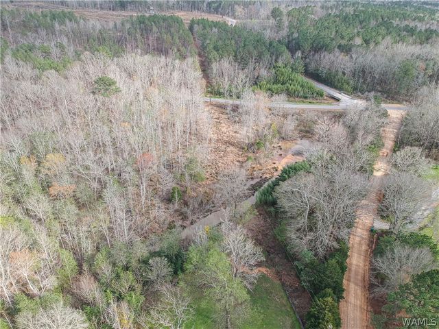 18157 Barefoot Springer Road, Gordo, AL 35466