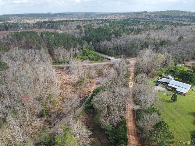 18157 Barefoot Springer Road, Gordo, AL 35466