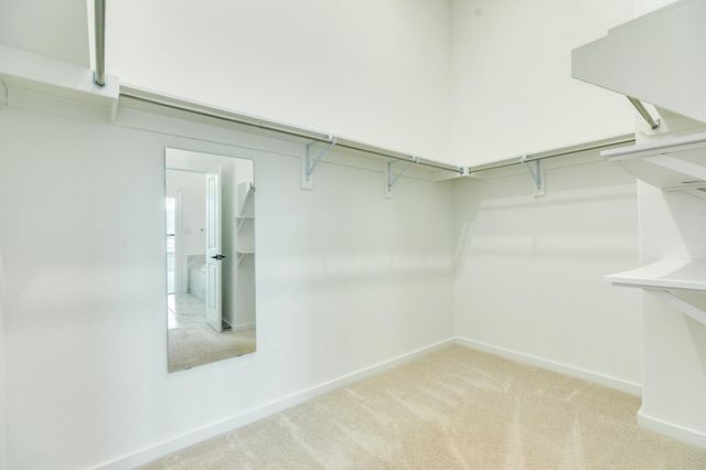 3806 Shackleton Court, Rosharon, TX 77583