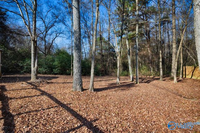 118 Autumn Branch Drive, Madison, AL 35757