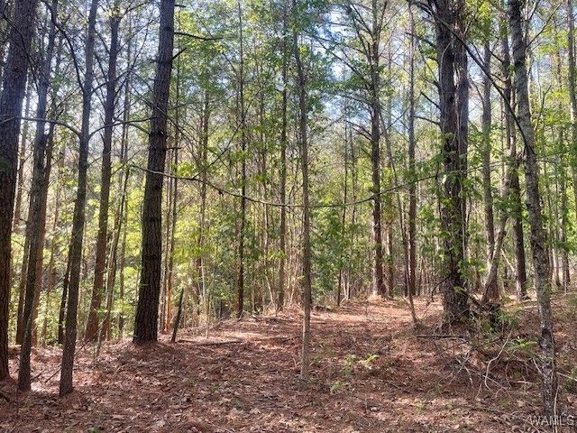 7 Tilly Branch, Northport, AL 35475