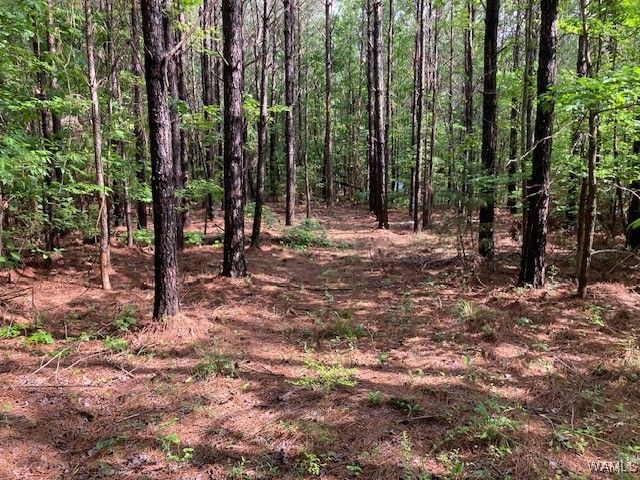 7 Tilly Branch, Northport, AL 35475