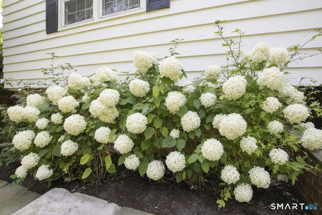 10 Blackberry Lane, Norwalk, CT 06850