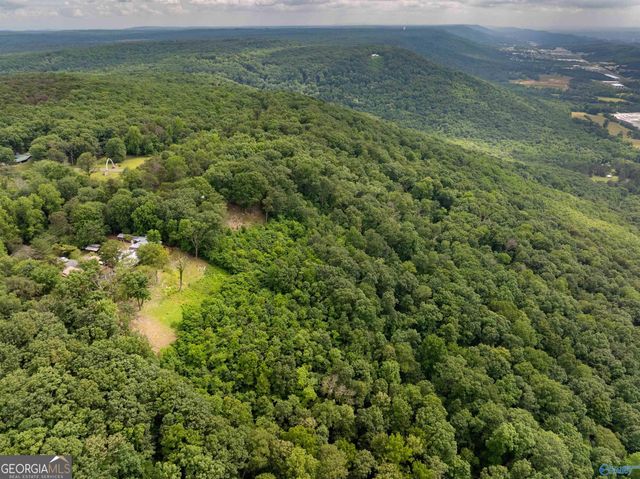 16565 County Road 89, Mentone, AL 35984