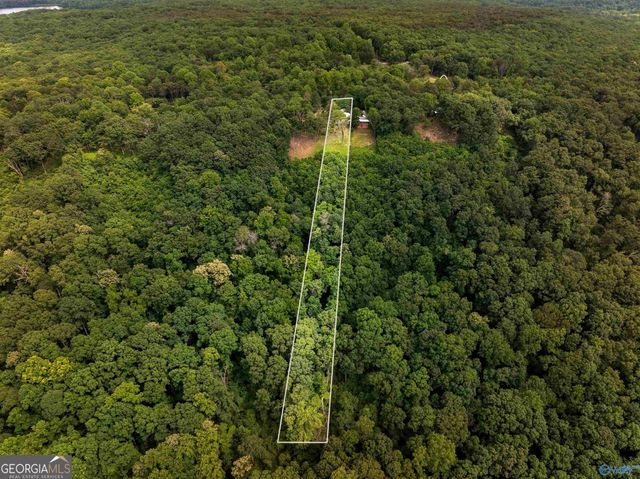 16565 County Road 89, Mentone, AL 35984