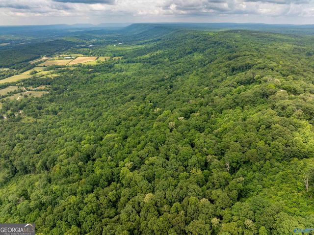 16565 County Road 89, Mentone, AL 35984