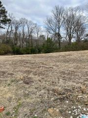1154 ARDEN PLACE, Vestavia Hills, AL 35243