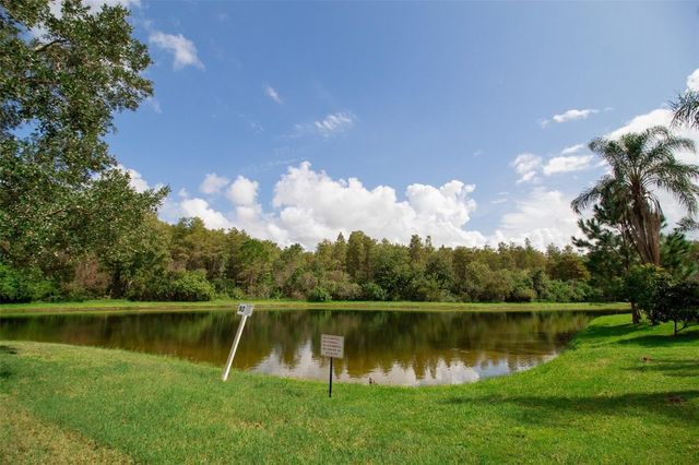 14215 WISTFUL LOOP, Orlando, FL 32824