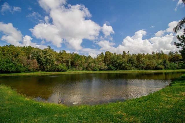 14215 WISTFUL LOOP, Orlando, FL 32824