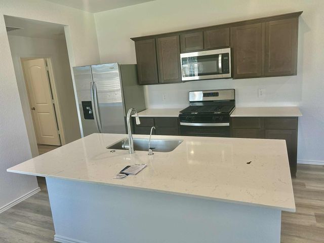 1002 Muscadine Vine Lane, Houston, TX 77090