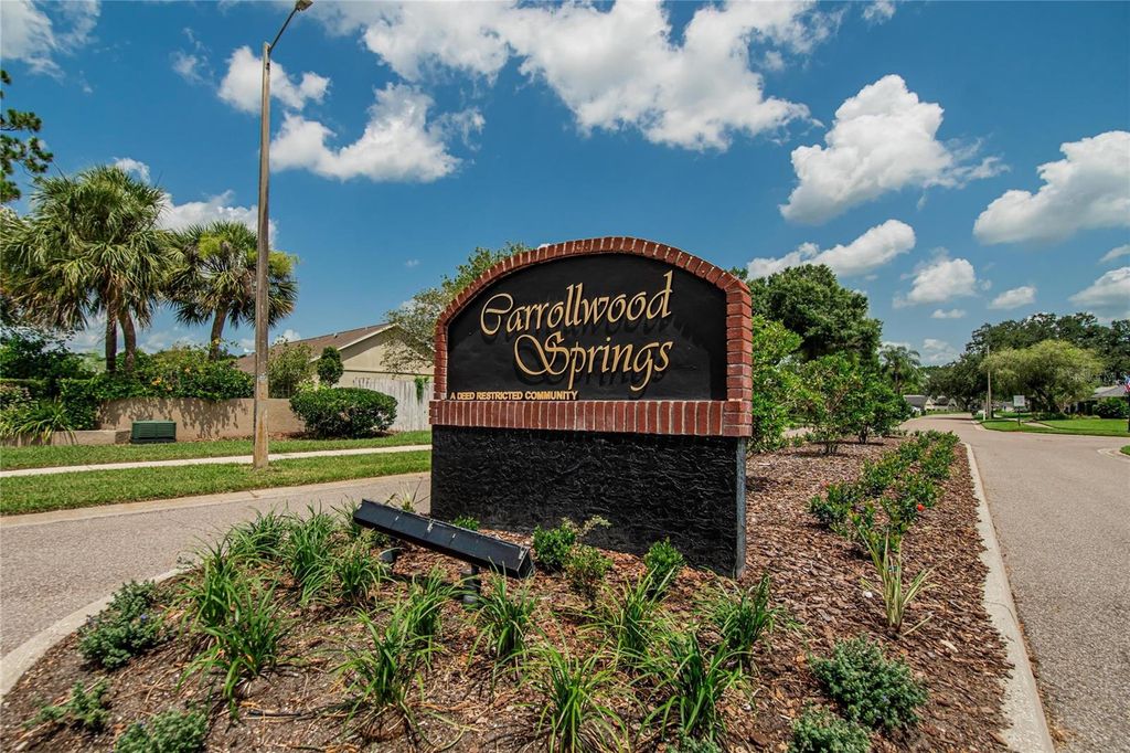 Image 46 of property listing at 15112 ROUNDUP DRIVE, Tampa, FL 33624