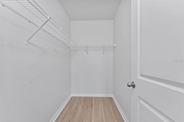 10918 TRAILING VINE DRIVE, Tampa, FL 33610