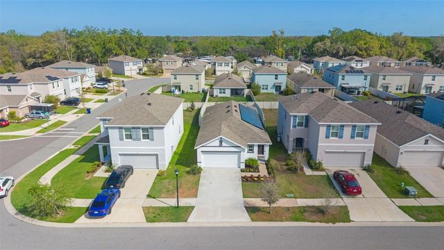 10918 TRAILING VINE DRIVE, Tampa, FL 33610