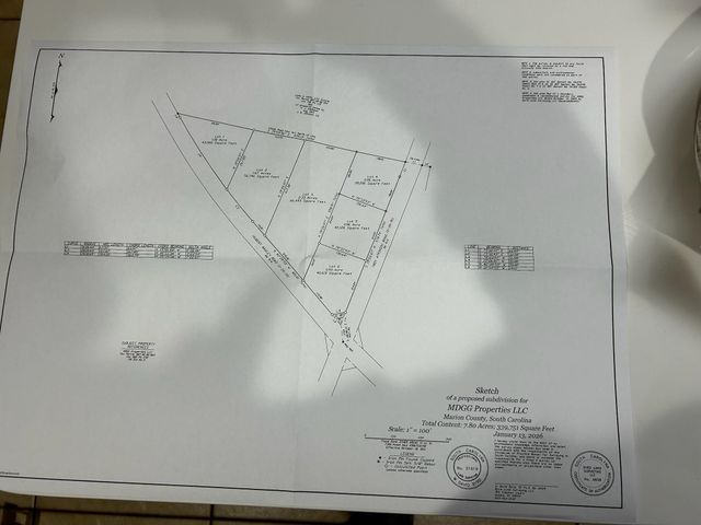 1939 Troy Atkinson Rd., Mullins, SC 29574