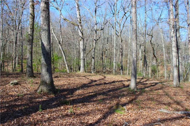 3852 N Bridlewood Drive, Springdale, AR 72764