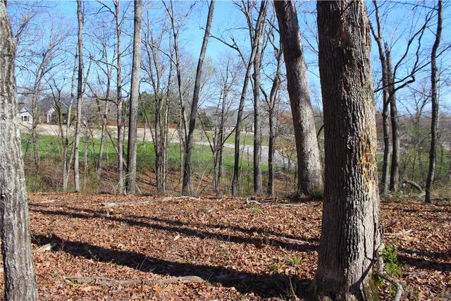 3852 N Bridlewood Drive, Springdale, AR 72764