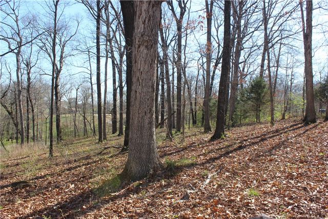 3852 N Bridlewood Drive, Springdale, AR 72764