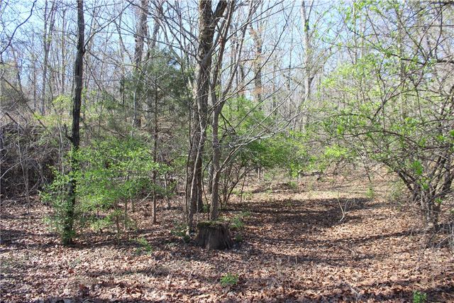 3852 N Bridlewood Drive, Springdale, AR 72764