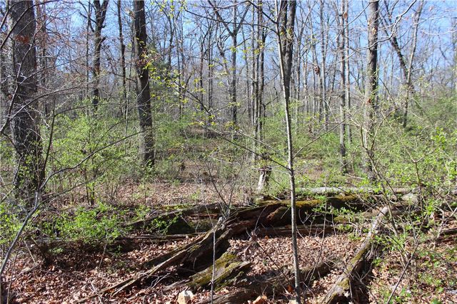 3852 N Bridlewood Drive, Springdale, AR 72764