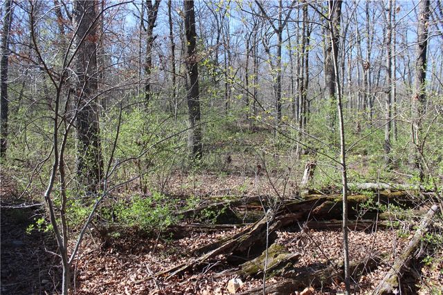 3852 N Bridlewood Drive, Springdale, AR 72764