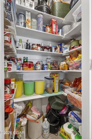 309 Sophia Jane Lane, Duenweg, MO 64841