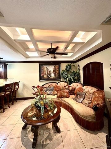 317 Las Colinas Circle, Roma, TX 78584