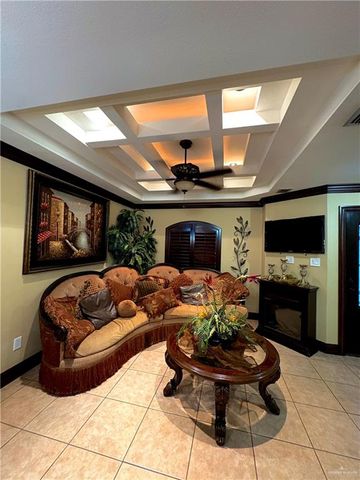 317 Las Colinas Circle, Roma, TX 78584