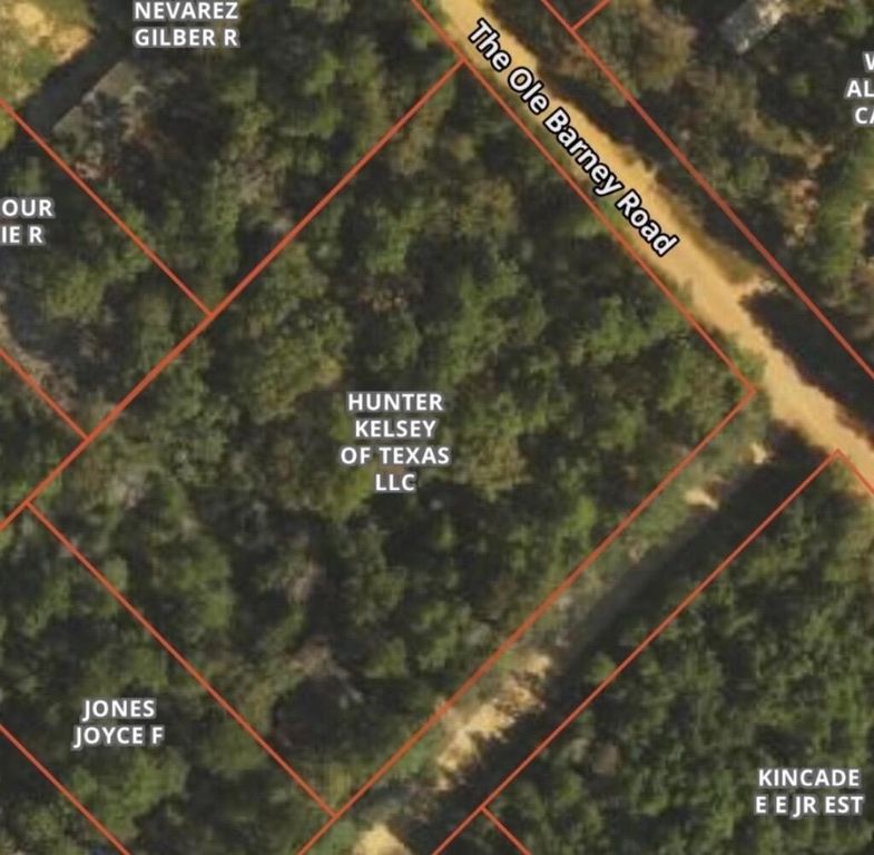 138 Barbara Trail, Livingston, TX 77351