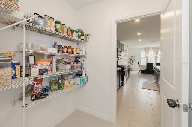 20864 CHERRY RIVER ROAD, Land O Lakes, FL 34638