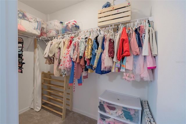 20864 CHERRY RIVER ROAD, Land O Lakes, FL 34638