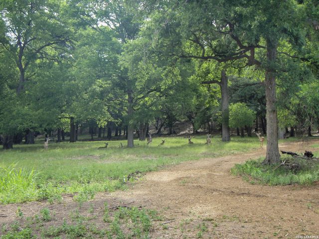 2305 BELLA VIS, Canyon Lake, TX 78133