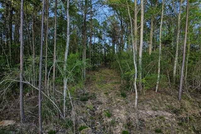 186 Bunkhouse Road, New Waverly, TX 77358