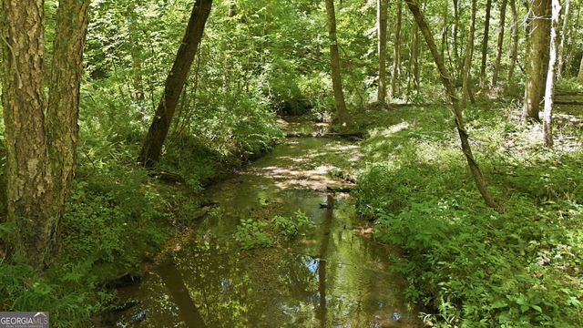 527 Jim Carter Road, Clarkesville, GA 30523
