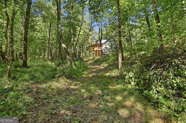 527 Jim Carter Road, Clarkesville, GA 30523