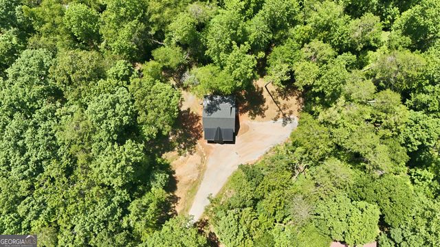 527 Jim Carter Road, Clarkesville, GA 30523