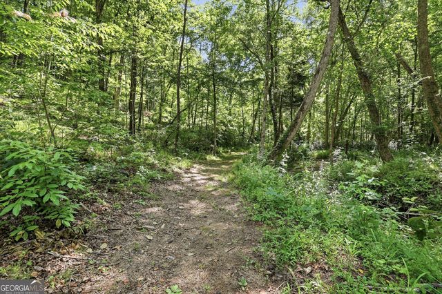 527 Jim Carter Road, Clarkesville, GA 30523
