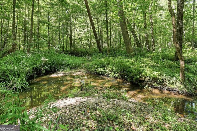 527 Jim Carter Road, Clarkesville, GA 30523