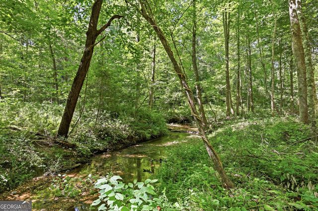 527 Jim Carter Road, Clarkesville, GA 30523