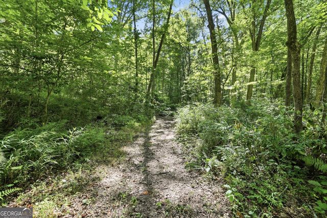 527 Jim Carter Road, Clarkesville, GA 30523